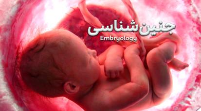دوره ی جنینشناسی