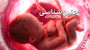 دوره ی جنینشناسی