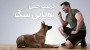 تربیت حس بویایی سگ