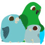 Flock Talk