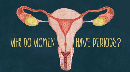 CVT-Why do women have periods-.mp4