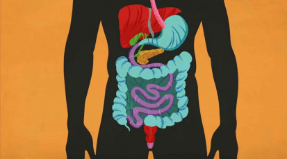 How your digestive system works - Emma Bryce.mp4
