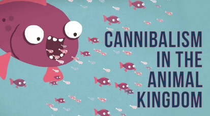 cvt-Cannibalism in the animal kingdom - Bill Schutt.mp4