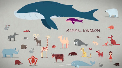 cvt-The three different ways mammals give birth - Kate Slabosky.mp4