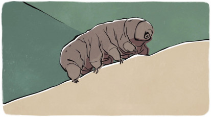 CVT-Meet the tardigrade, the toughest animal on Earth - Thomas Boothby.mp4
