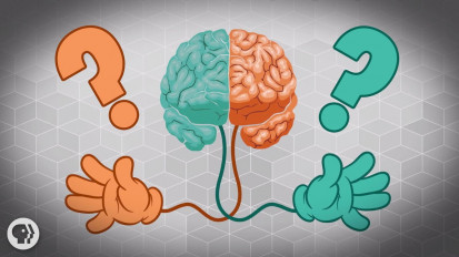 cvt-Why are some people left-handed- - Daniel M. Abrams.mp4